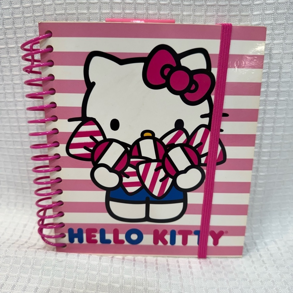 Sanrio Hello Kitty Pink and White Agenda
